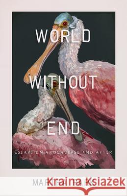 World Without End: Essays on Apocalypse and After Martha Park 9798885740487 Hub City Press
