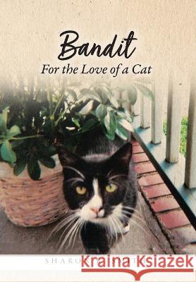Bandit: For the Love of a Cat Sharon R Smith   9798885905176 Palmetto Publishing