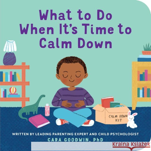 What to Do When It's Time to Calm Down Cara Goodwin 9798886081541