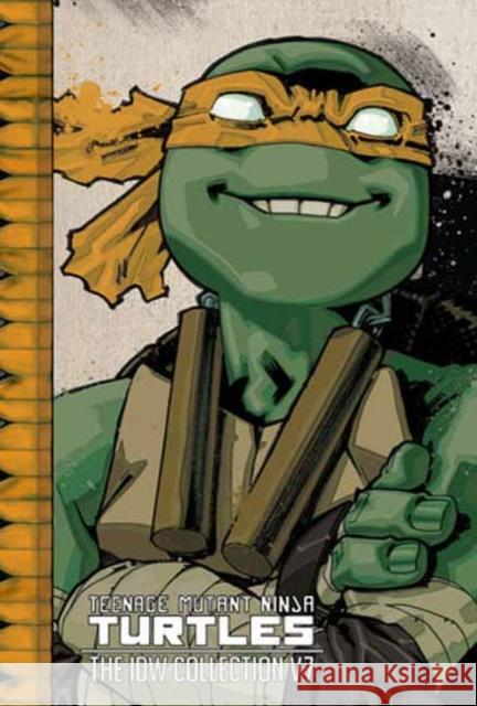 Teenage Mutant Ninja Turtles: The IDW Collection Volume 7 Tom Waltz 9798887243139 Idea & Design Works