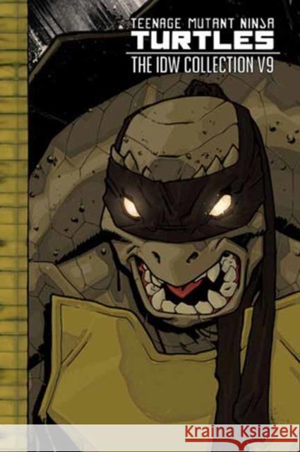 Teenage Mutant Ninja Turtles: The IDW Collection Volume 9 Tom Waltz 9798887243955 Idea & Design Works