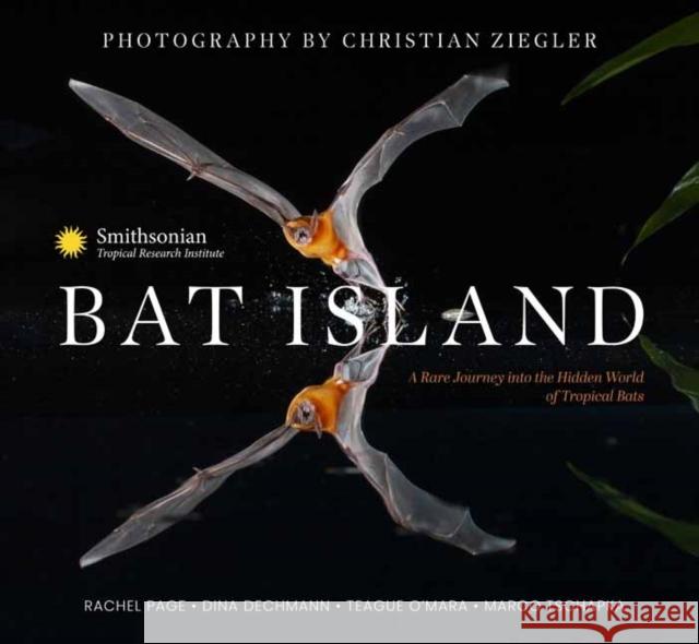Bat Island The Smithsonian Tropical Research Institute 9798887620398 Earth Aware Editions