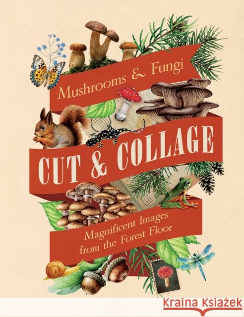 Cut & Collage Mushrooms and Fungi: Magnificent Images from the Forest Floor Earth Aware Editions 9798887621487 Insight Editions