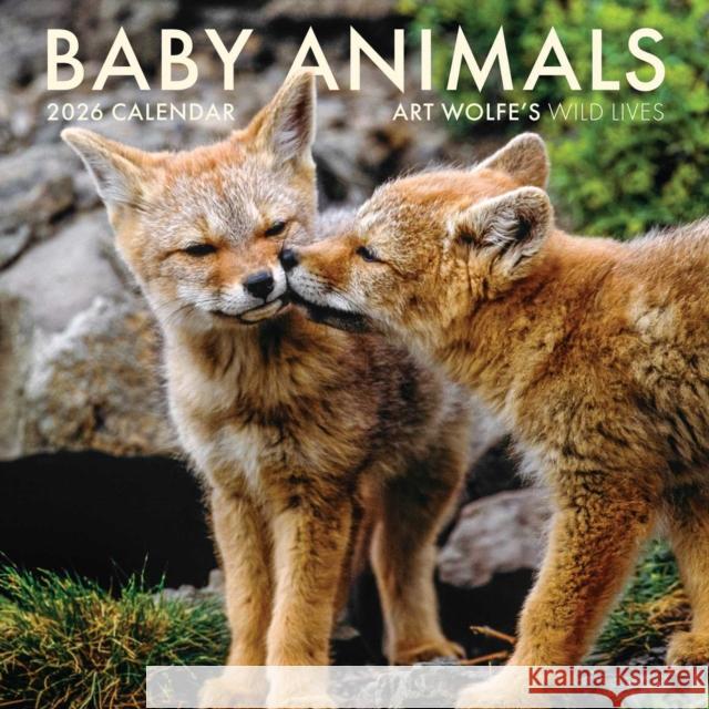 2026 Baby Animals Wall Calendar: Art Wolfe's Wild Lives Art Wolfe 9798887621562 Insight Editions