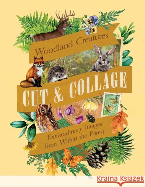 Cut & Collage Woodland Creatures Earth Aware Editions 9798887621647 Insight Editions