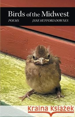 Birds of the Midwest Jane Hufford Downes   9798888380086