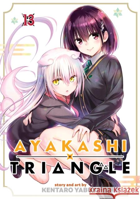 Ayakashi Triangle Vol. 13 Kentaro Yabuki 9798888438657