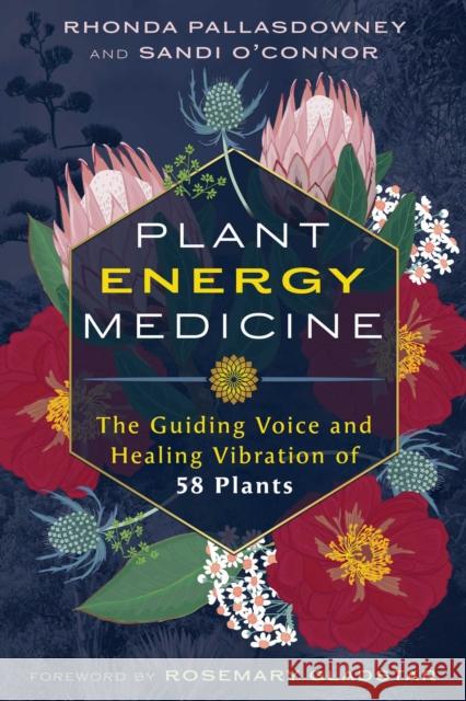 Plant Energy Medicine: The Guiding Voice and Healing Vibration of 58 Plants Sandi O'Connor 9798888501757 Inner Traditions Bear and Company