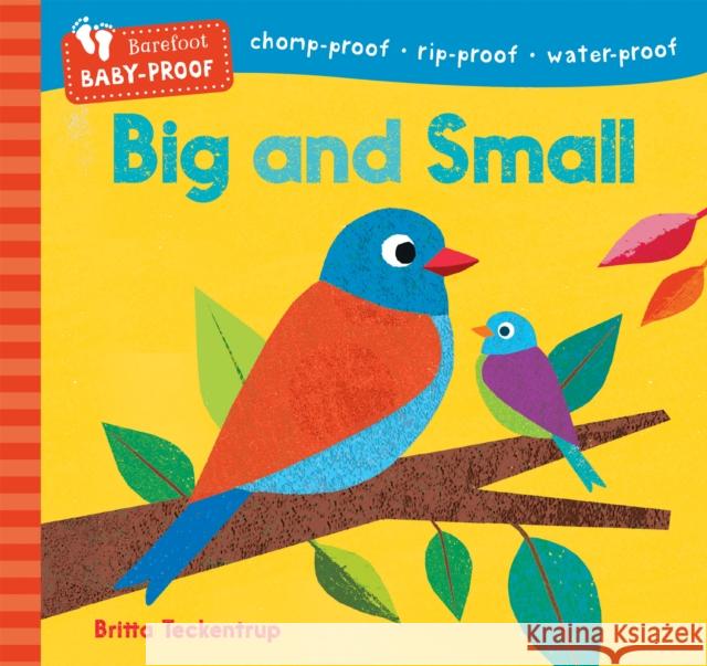 Barefoot Baby-Proof: Big and Small Barefoot Books 9798888593110