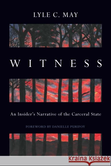 Witness: An Insider's Narrative of the Carceral State  9798888900598 Haymarket Books