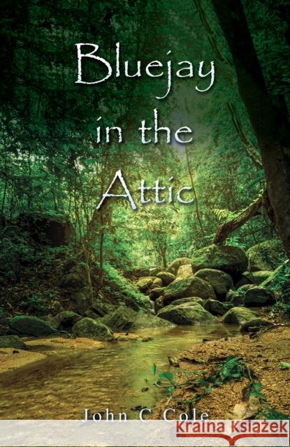 Bluejay in the Attic John C Cole 9798889109587 Austin Macauley Publishers LLC