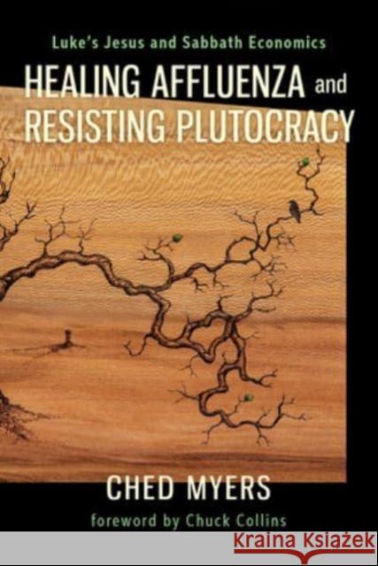 Healing Affluenza and Resisting Plutocracy: Luke's Jesus and Sabbath Economics Ched Myers 9798889834366 Augsburg Fortress Publishers