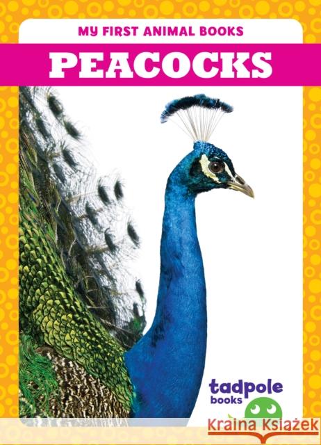 Peacocks Natalie Deniston 9798889965800 Tadpole Books
