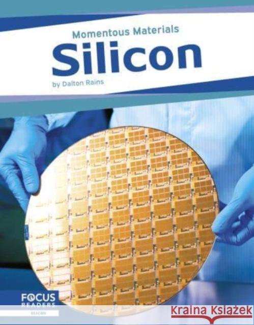 Silicon Dalton Rains 9798889980797 Focus Readers