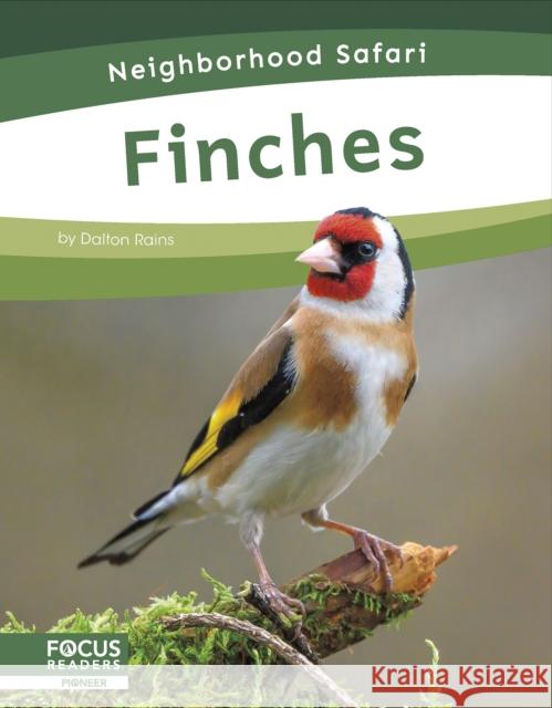 Neighborhood Safari: Finches Dalton Rains 9798889981756 Focus Readers