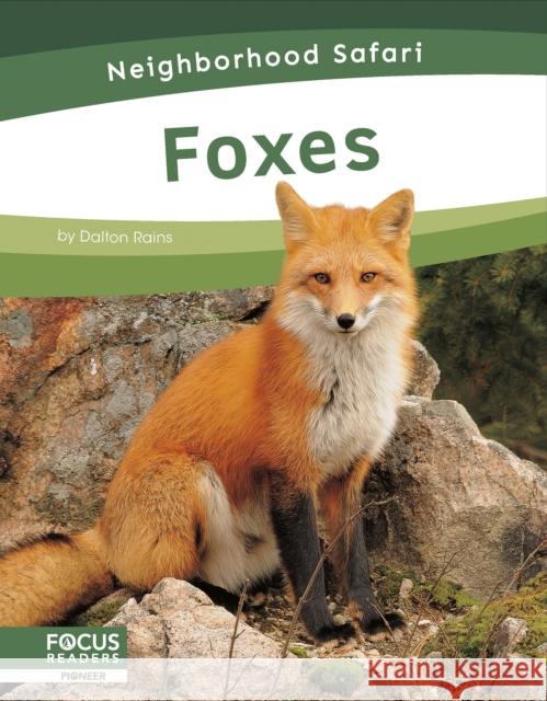 Neighborhood Safari: Foxes Dalton Rains 9798889981763 Focus Readers