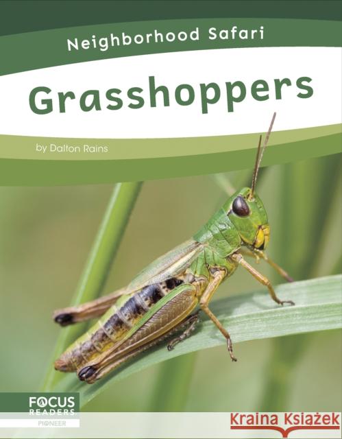 Grasshoppers Dalton Rains 9798889981770 Focus Readers