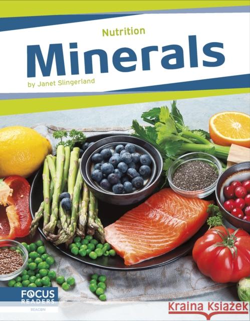 Minerals Janet Slingerland 9798889981831 Focus Readers