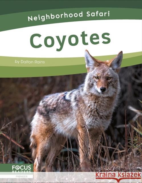 Coyotes Dalton Rains 9798889982296 Focus Readers