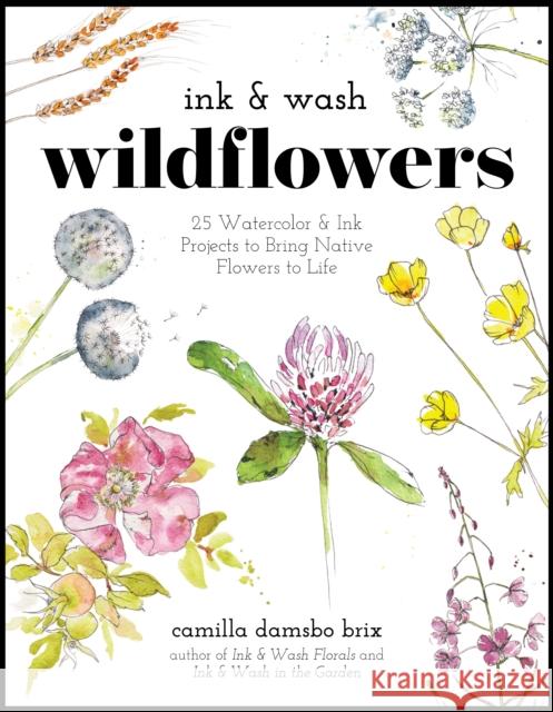 Ink & Wash Wildflowers: 25 Watercolor & Ink Projects to Bring Native Flowers to Life Camilla Damsbo Brix 9798890033499 Page Street Publishing Co.