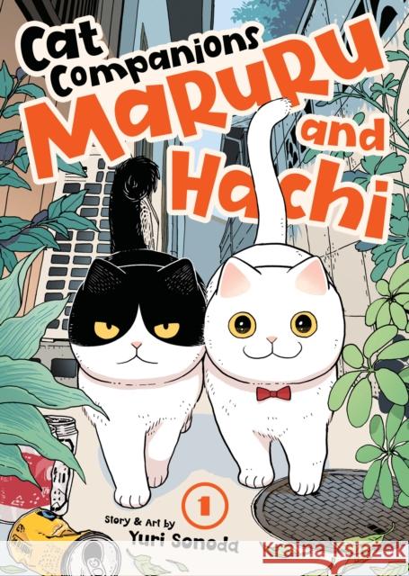 Cat Companions Maruru and Hachi Vol. 1 Yuri Sonoda 9798891602182