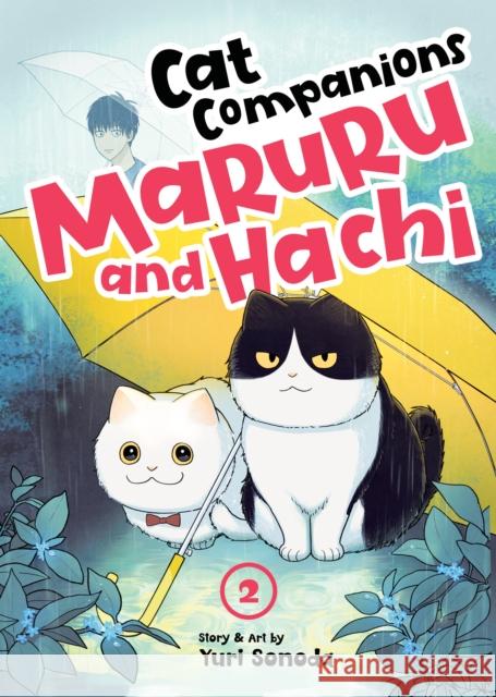 Cat Companions Maruru and Hachi Vol. 2 Yuri Sonoda 9798891602199