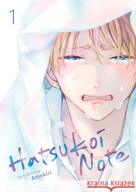 Hatsukoi Note Vol. 1 Amekiri 9798891604933 Seven Seas