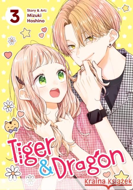 Tiger and Dragon Vol. 3 Mizuki Hoshino 9798891609327
