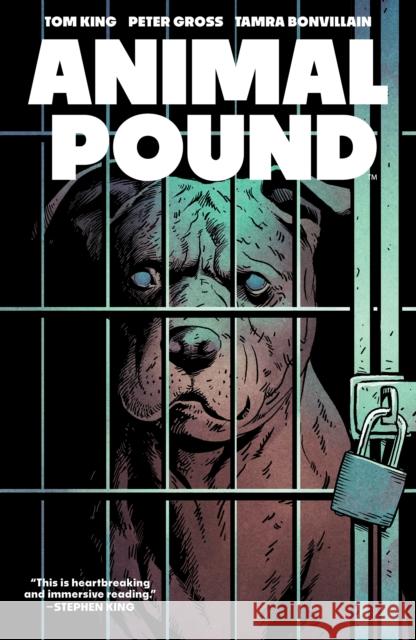 Animal Pound Tom King 9798892155724 Boom! Studios