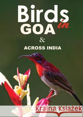Birds in Goa & Across India A K Sahay 9798892224161 White Falcon Publishing