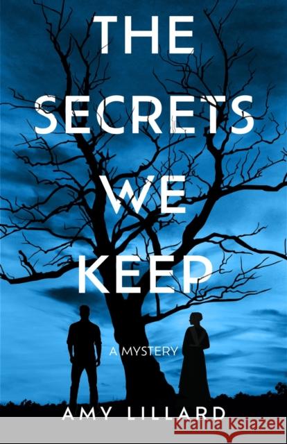 The Secrets We Keep: A Novel Amy Lillard 9798892422451 Crooked Lane Books