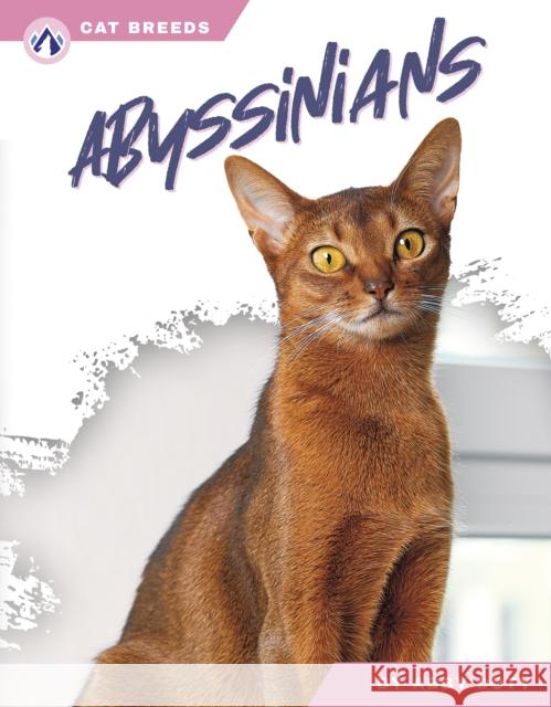 Abyssinians Abby Doty 9798892503051