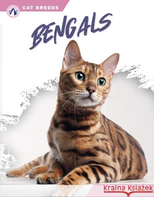 Bengals Abby Doty 9798892503075