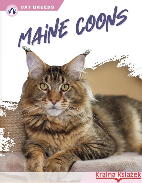 Maine Coons Abby Doty 9798892503112 Apex