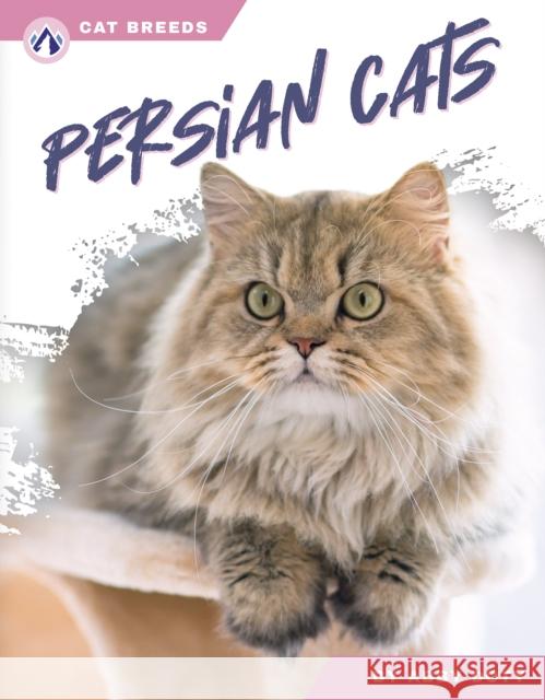 Persian Cats Abby Doty 9798892503129 Apex