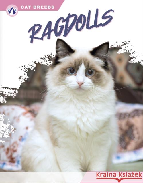 Ragdolls Abby Doty 9798892503136 North Star Editions