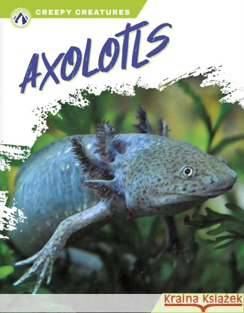 Axolotls Abby Doty 9798892503198