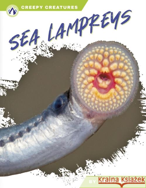 Sea Lampreys Trudy Becker 9798892503211 North Star Editions