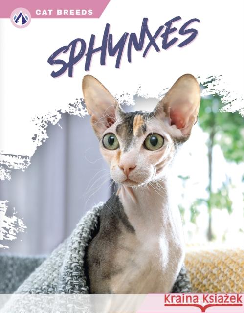 Sphynxes Abby Doty 9798892503549 Apex