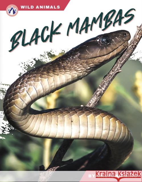 Black Mambas Dalton Rains 9798892505451 Apex