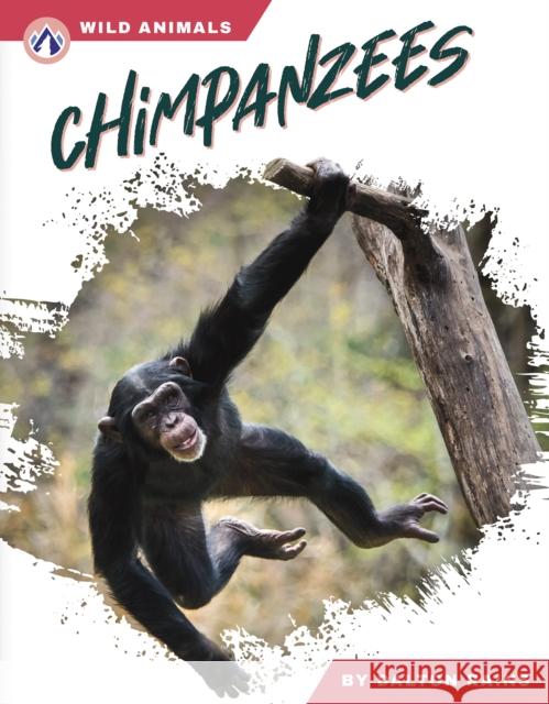 Chimpanzees Dalton Rains 9798892505468 Apex