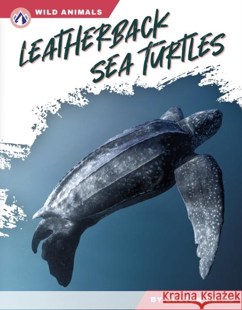 Leatherback Sea Turtles Dalton Rains 9798892505499 Apex