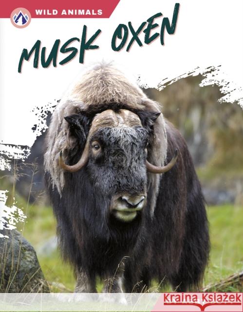 Musk Oxen Abby Doty 9798892505505 Apex