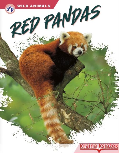 Red Pandas Abby Doty 9798892505871