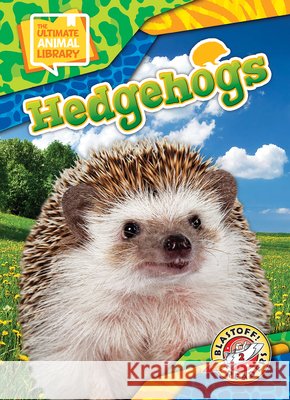 Hedgehogs Bowman, Chris 9798893047943