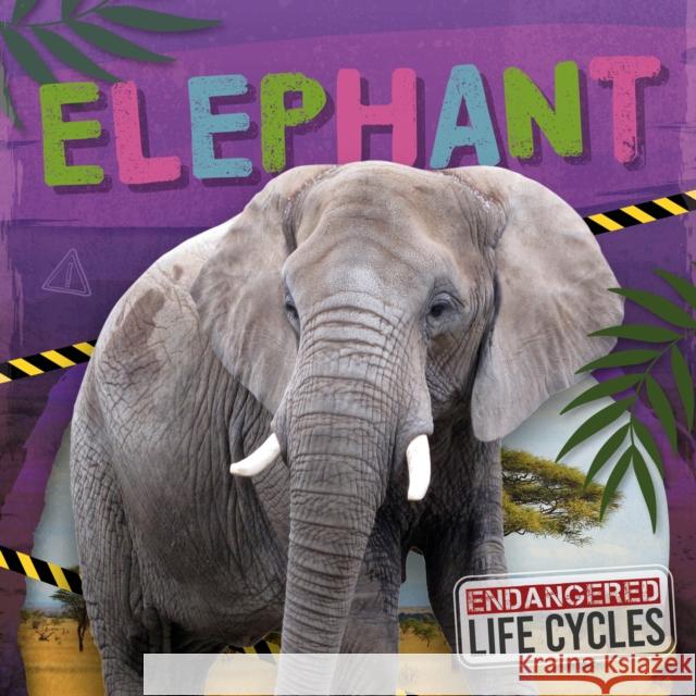 Elephant E.C. Andrews 9798893593112 North Star Editions