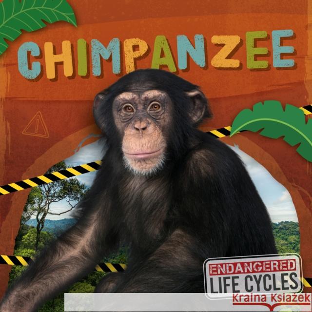 Chimpanzee E.C. Andrews 9798893593945 North Star Editions