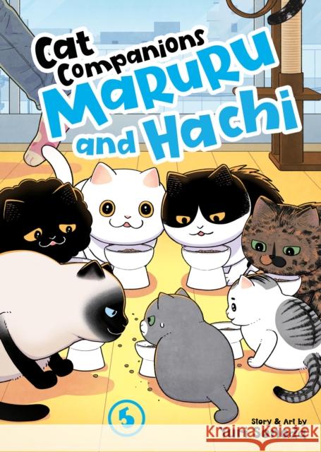 Cat Companions Maruru and Hachi Vol. 5 Yuri Sonoda 9798893735857