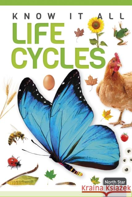 Life Cycles Louise Nelson 9798894710068 North Star Editions