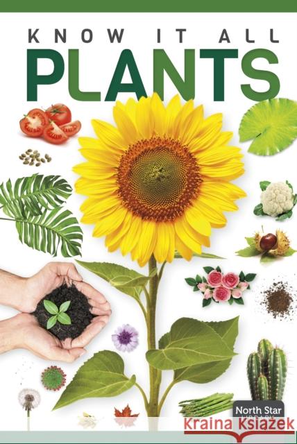 Plants Louise Nelson 9798894710075 North Star Editions